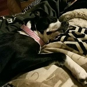 Meet your Posher, Nick